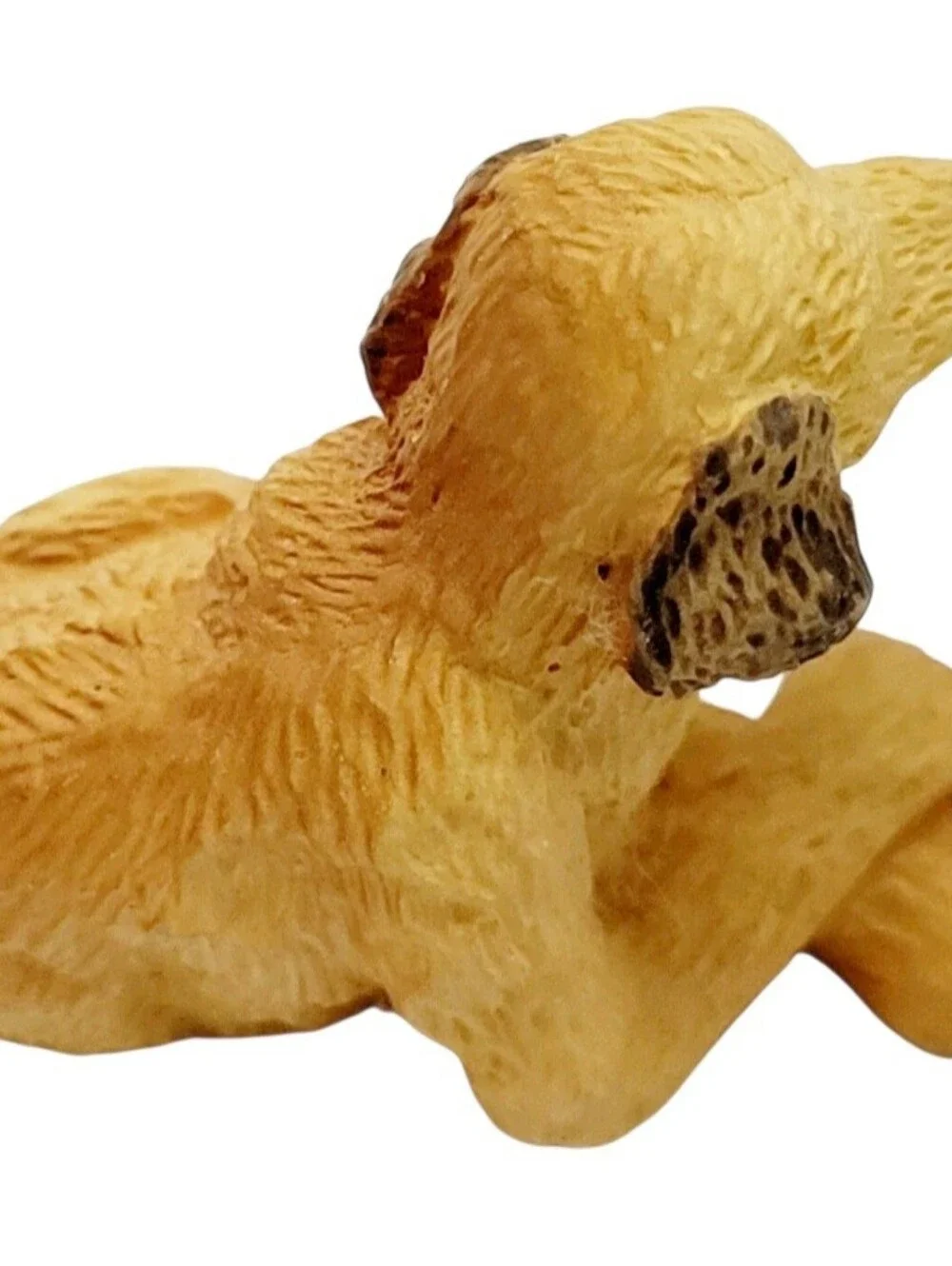 Spaniel Retriever 1